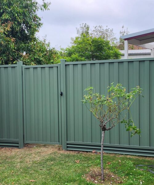 Colorbond Fence