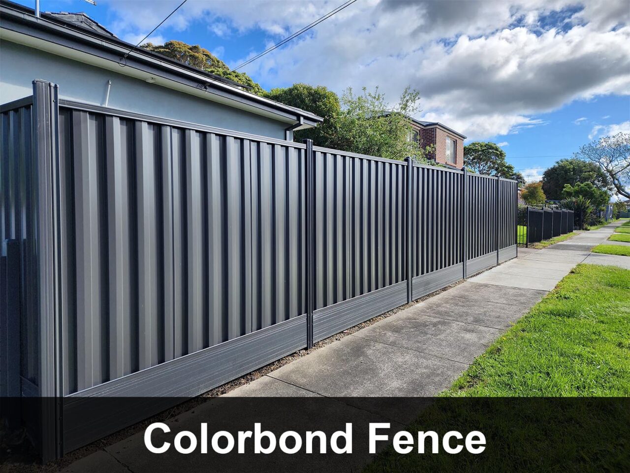 Colorbond Fence